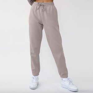 Aritzia TNA Cozy Fleece Boyfriend Drawstring Cuffed Sweatpants in GD Chasm